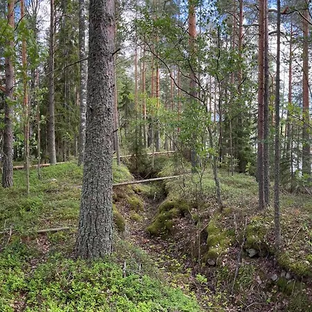 Mummonmoekki Puruvedellae Kylaen Kupeessa شاليه *
